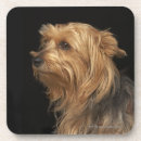Suche nach brauner hund untersetzer Haustiere