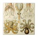 Suche nach tintenfisch fliesen Oktopus