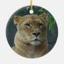 Suche nach afrikanische löwen ornamente Katze