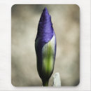 Suche nach iris blume mousepads Quelle