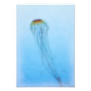 Suche nach ozean aquarell poster Orange