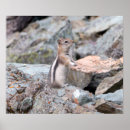 Suche nach ground poster Natur