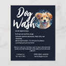 Suche nach hundezucht flyer Hundetrainer