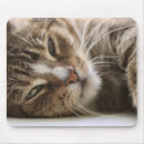 Suche nach katzenaugen mousepads Haustier