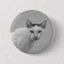 Suche nach schwarze katzen buttons Kitty