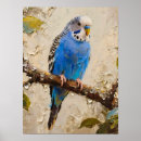 Suche nach budgie poster Blau