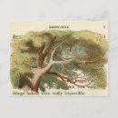 Suche nach königin der herzen postkarten Wunderland