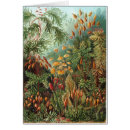 Suche nach kunstformen der natur postkarten Farbig