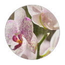 Suche nach orchid untersetzer Blätter