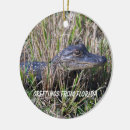 Suche nach sümpfe ornamente Alligator