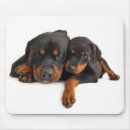 Suche nach rottweiler hund mousepads Welpen