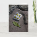 Suche nach weißes gänseblümchen karten Hübsch