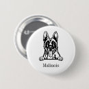 Suche nach belgische malinois buttons Hund