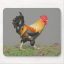 Suche nach hahn mousepads Huhn