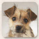 Suche nach canis untersetzer Tier