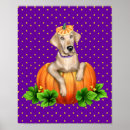 Suche nach gelbe jacke poster Hund