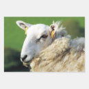 Suche nach mutterschaf geschenkpapier Niedlich