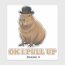 Suche nach capybara aufkleber Meme