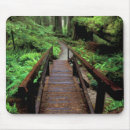 Suche nach mammutbaum mousepads Üppig