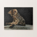 Suche nach schwanz puzzle Haustier