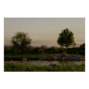 Suche nach cgi poster Landschaft