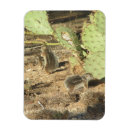 Suche nach tucson magnete Wüste