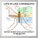 Suche nach mücken poster Spaß