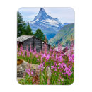 Suche nach swiss magnete Matterhorn
