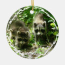 Suche nach waschbär ornamente Tiere