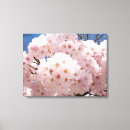 Suche nach rosa baum leinwandbilder Botanisch