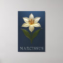 Suche nach narzisse leinwandbilder Botanisch