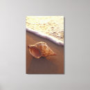 Suche nach tropische insel leinwandbilder Strand