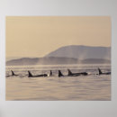 Suche nach washington state poster Sea