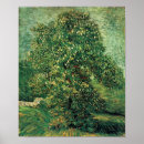Suche nach kastanienbaum poster Frühling