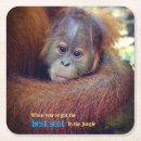 Suche nach orang utans untersetzer Niedlich