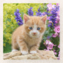 Suche nach lustige katze untersetzer Für kinder