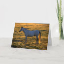 Suche nach arabisches karten Stehend