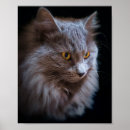 Suche nach blaue katze poster Kitty