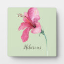Suche nach mit blumen fotoplatten Rosa