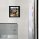 Suche nach strauß magnete Vögel