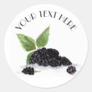 Suche nach brombeere aufkleber Beeren
