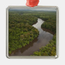 Suche nach guyana ornamente Regenwald