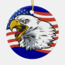 Suche nach 2 ornamente Usa