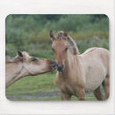 Suche nach pferd mousepads Cowboy