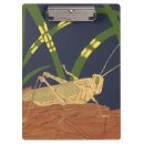 Suche nach gräser klemmbrett Grün