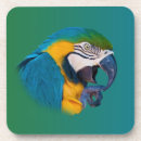 Suche nach papageien untersetzer Macaw