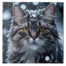 Suche nach graue katze fliesen Wohngestaltung