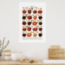 Suche nach vintage botanik poster Natur