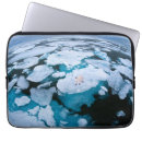 Suche nach eisbär laptop schutzhüllen Winter