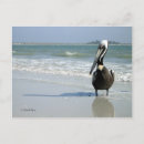 Suche nach dunedin poster Ozean